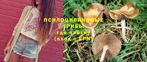 дурь Богородск