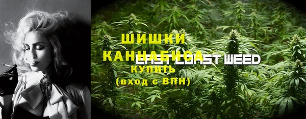 mdma Богданович
