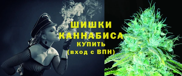 сатива Богородицк